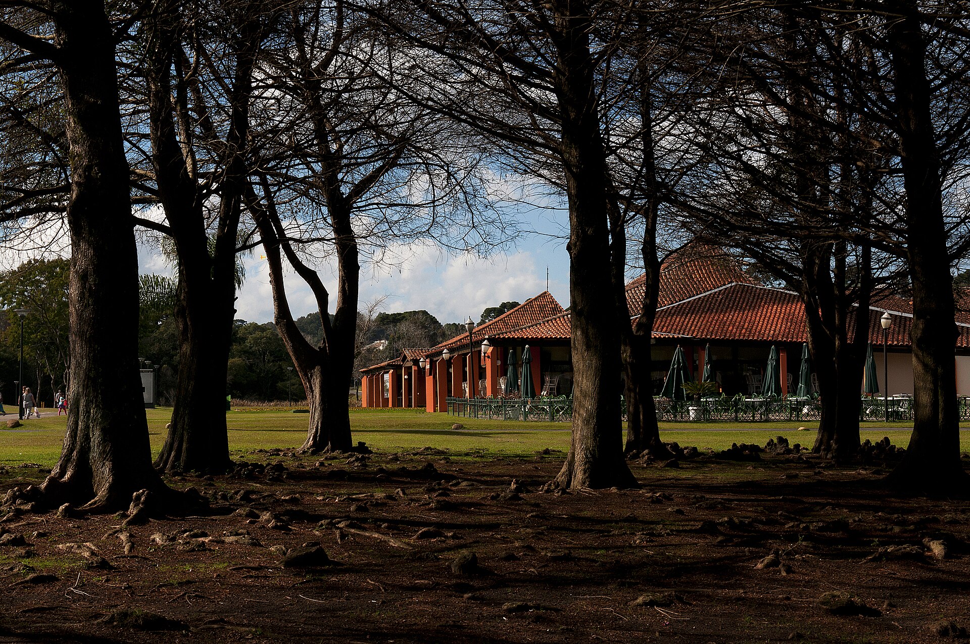 Vista do Parque Barigui em Curitiba